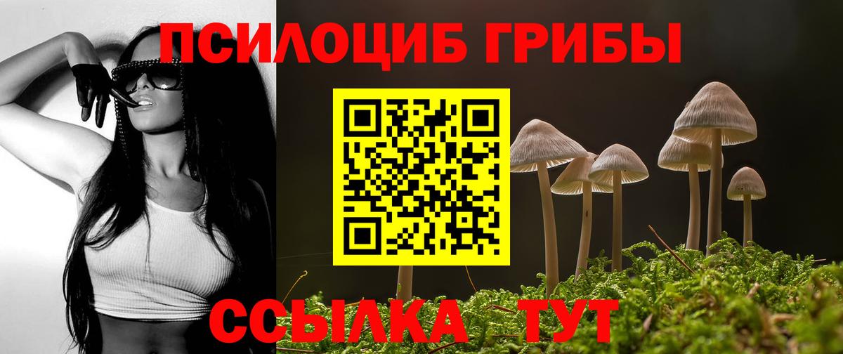 Псилоцибиновые грибы ЛСД Касимов
